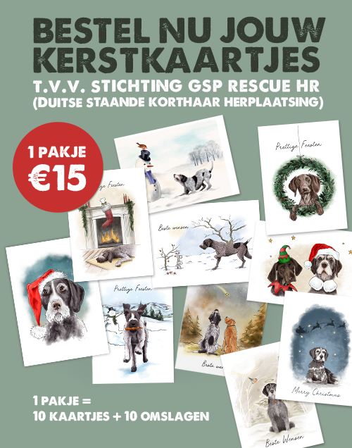 Steun Stichting GSP Rescue HR